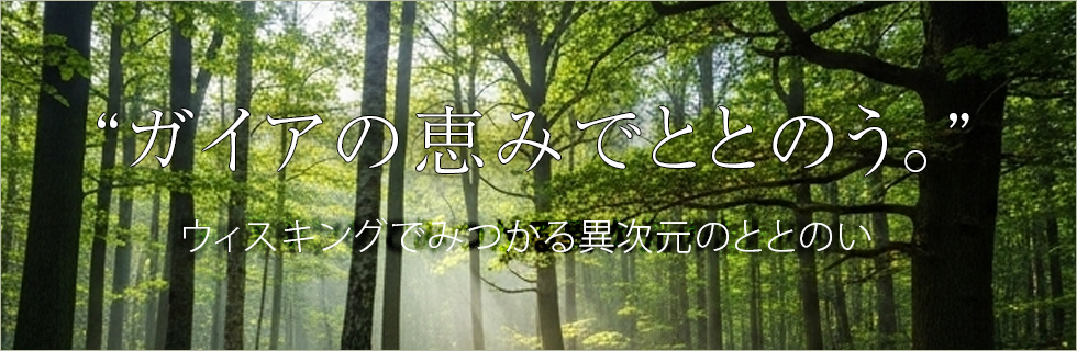 マルシンスパウィスキング