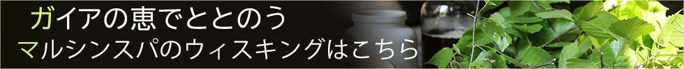 マルシンスパウィスキング